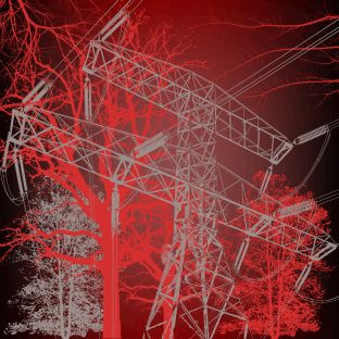 powerlinetrees.jpg