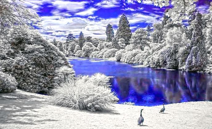 winterlake.jpg